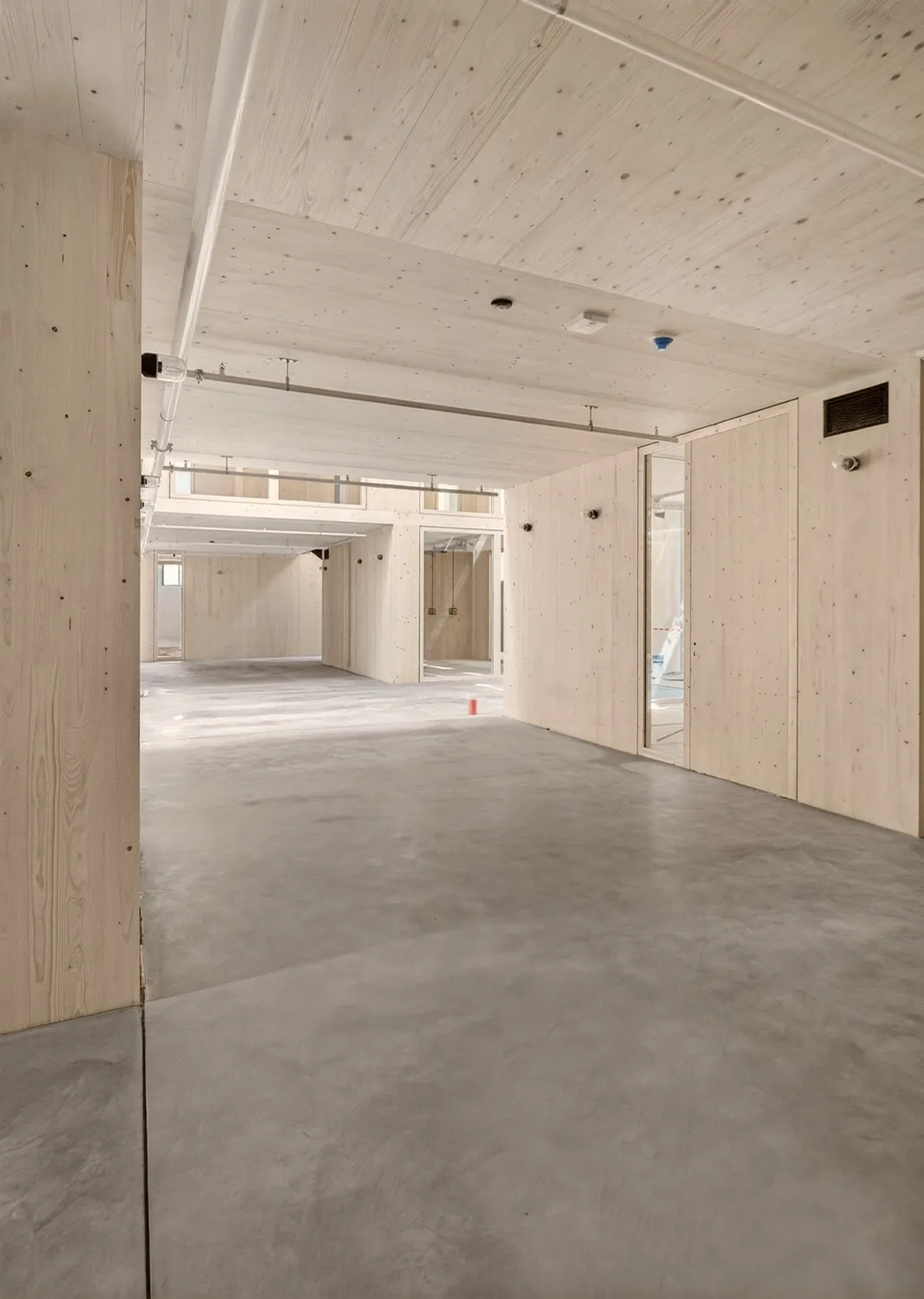 Roher Sichtholz-Ausbau im Inneren eines Künstlerateliers